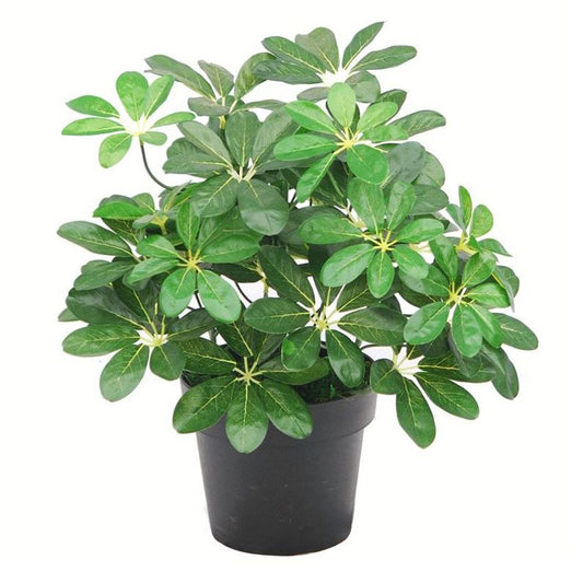 55cm Dark Green Artificial Schefflera Arboricola Plant for Lush Indoor Spaces