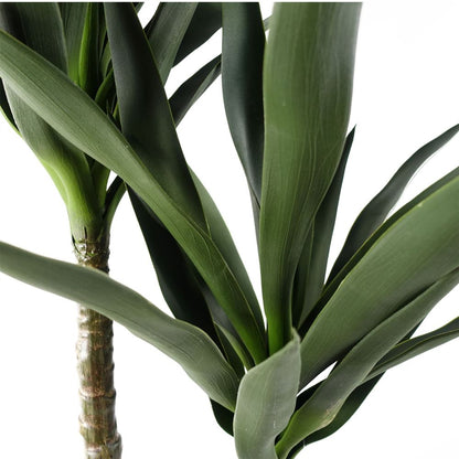 120cm Yucca Tree - UV Resistant for Outdoor Spaces and Garden Decor