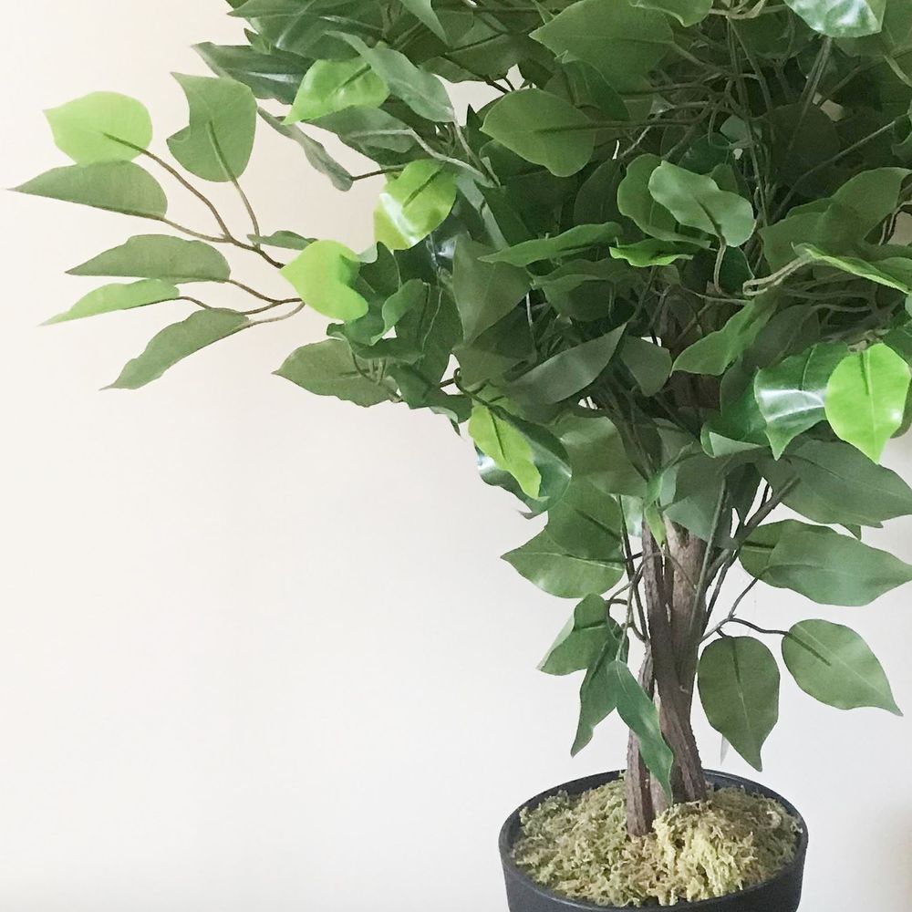 60cm Artificial Ficus Tree Plant - Large Bushy Design for Lush Indoor Decor