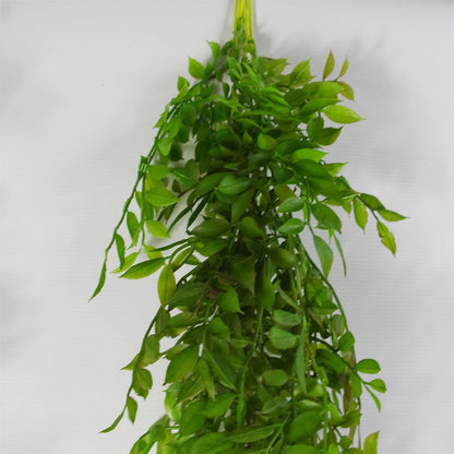 100cm Dark Green Hanging String of Pearls Fern Plant - Realistic Look