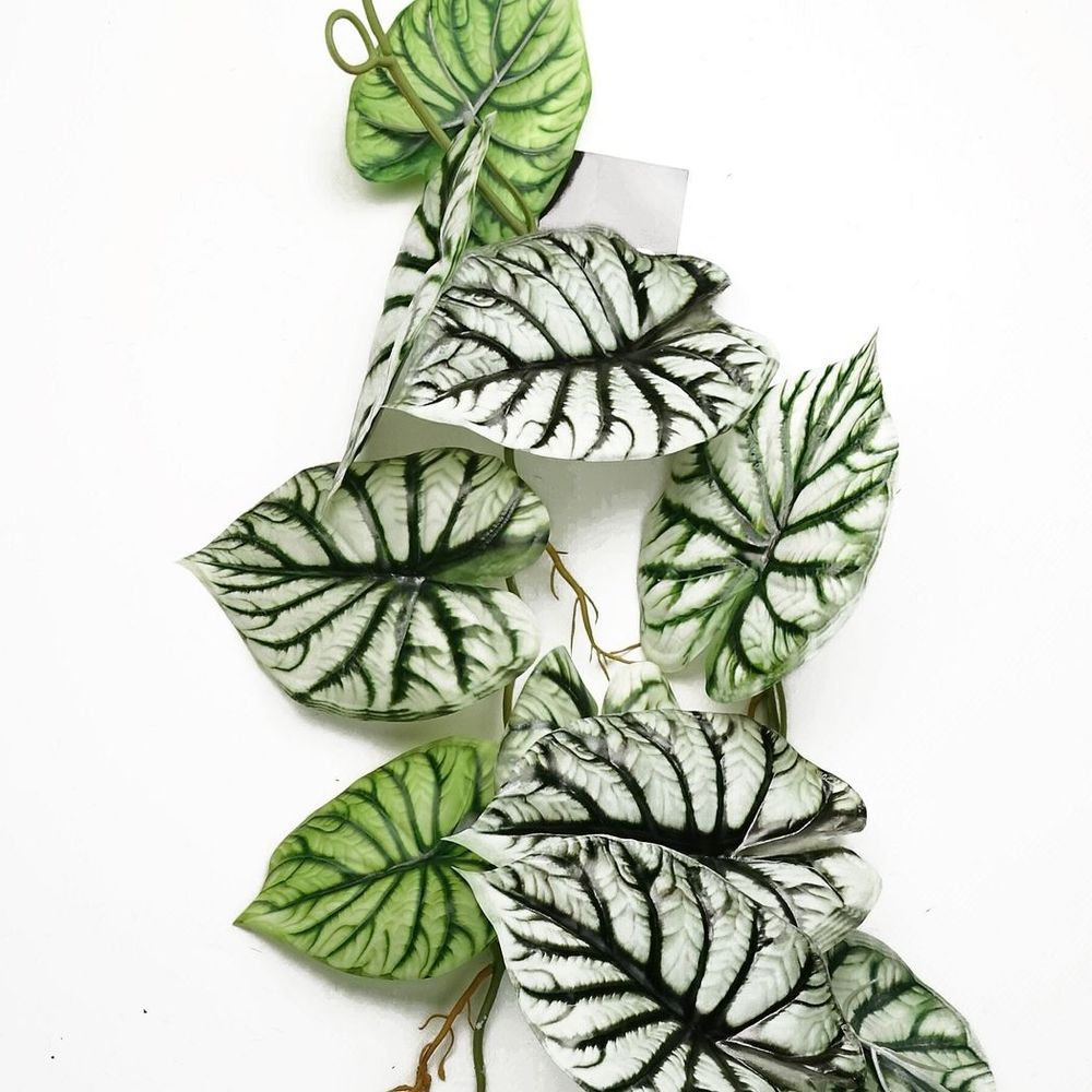 120cm Artificial Alocasia Dragon Scale Plant - Realistic Light Green Trailing Design