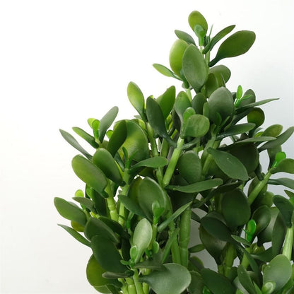 75cm Deluxe Artificial Green Jade Plant