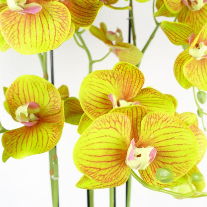 80cm Large Lime Yellow Artificial Orchid Plant - 41 Real Touch Flowers