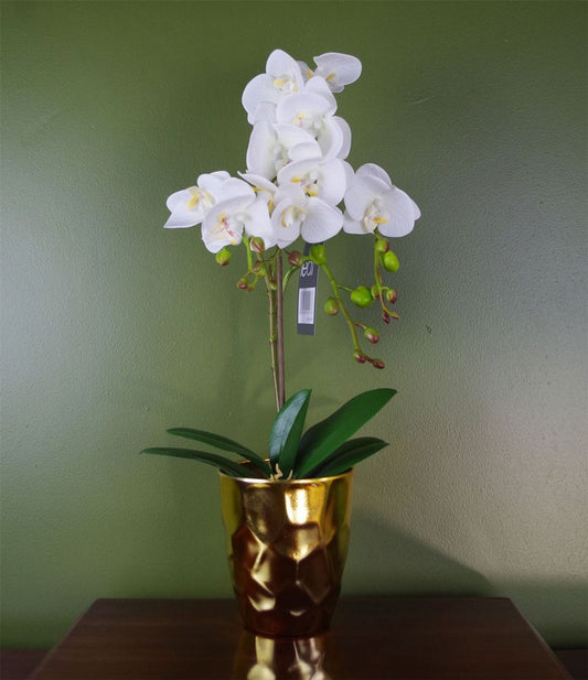 54cm Artificial White Orchid Plant with Gold Pot