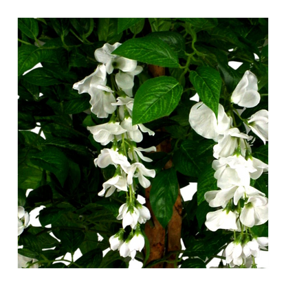 130cm Premium Luxury White Wisteria Tree - Elegant Floral Display