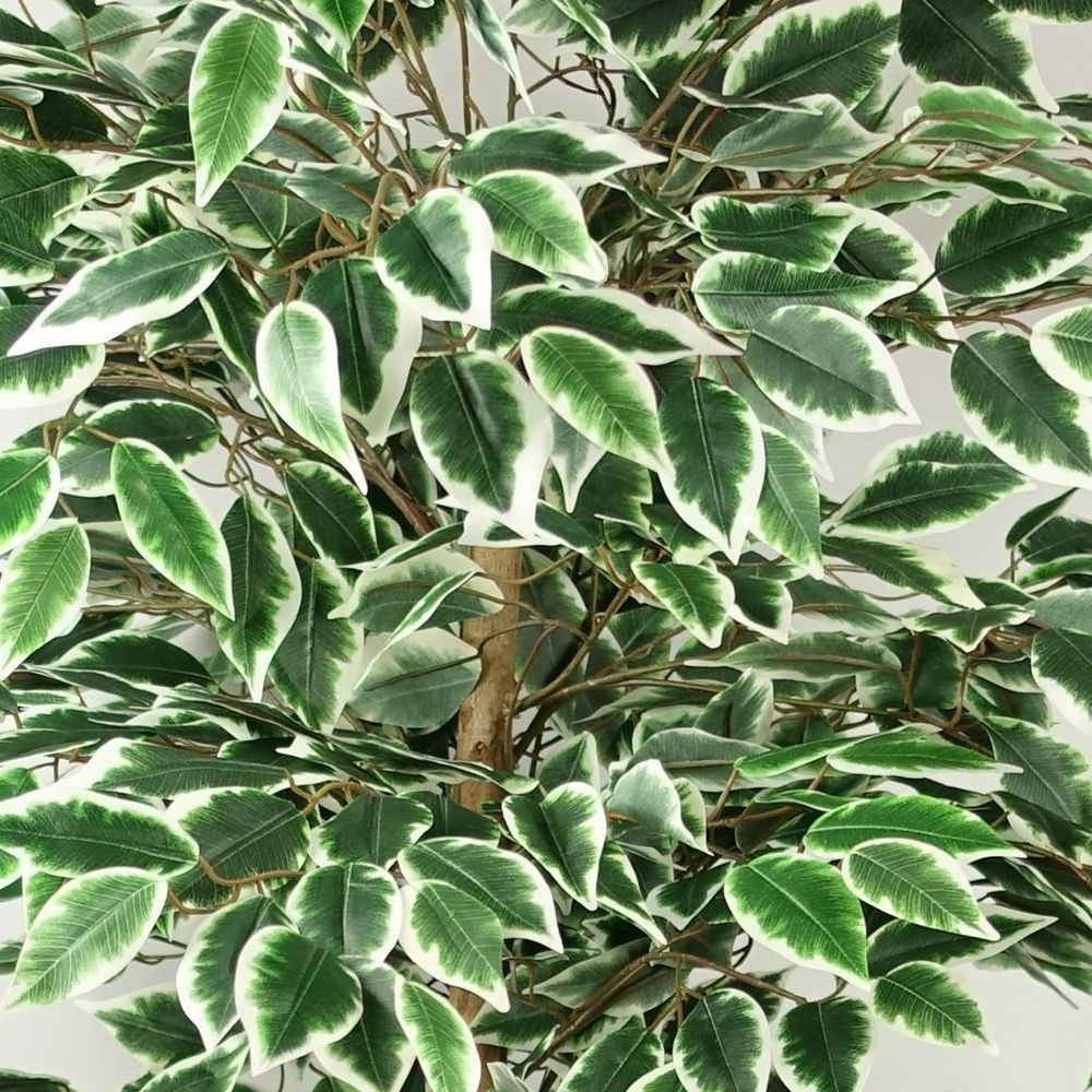 150cm Lifelike Silk Ficus Tree – Elegant Faux Plant for Contemporary Interiors