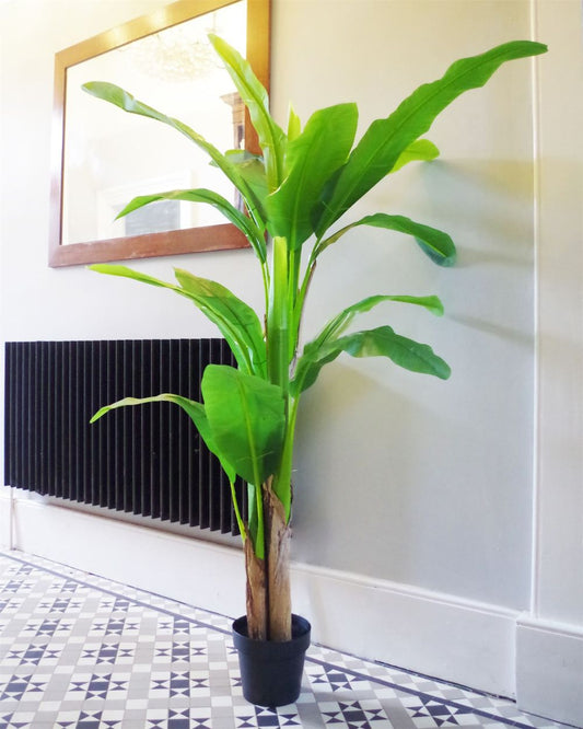 180cm Tropical Banana Plant - Artificial for Lively Indoor Decor