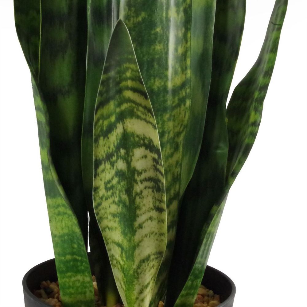 70cm Artificial Sansevieria Zeylanica Plant for Striking Indoor Decor