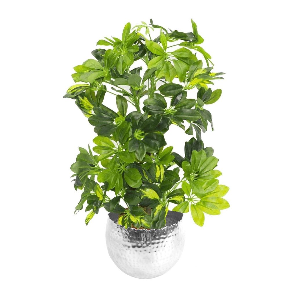 75cm Artificial Arboricola Gold Capella Plant in Stylish Silver Metal Planter Included