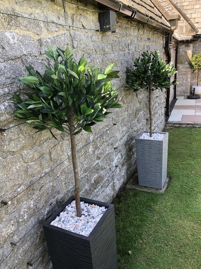 Pair of 120cm Artificial Topiary Bay Laurel Ball Trees with Plain Stem Design