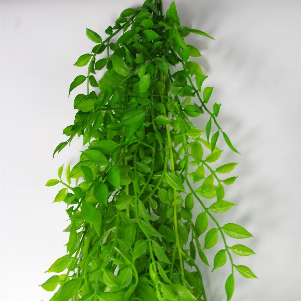 100cm Light Green Hanging String of Pearls Fern Plant - Realistic Look