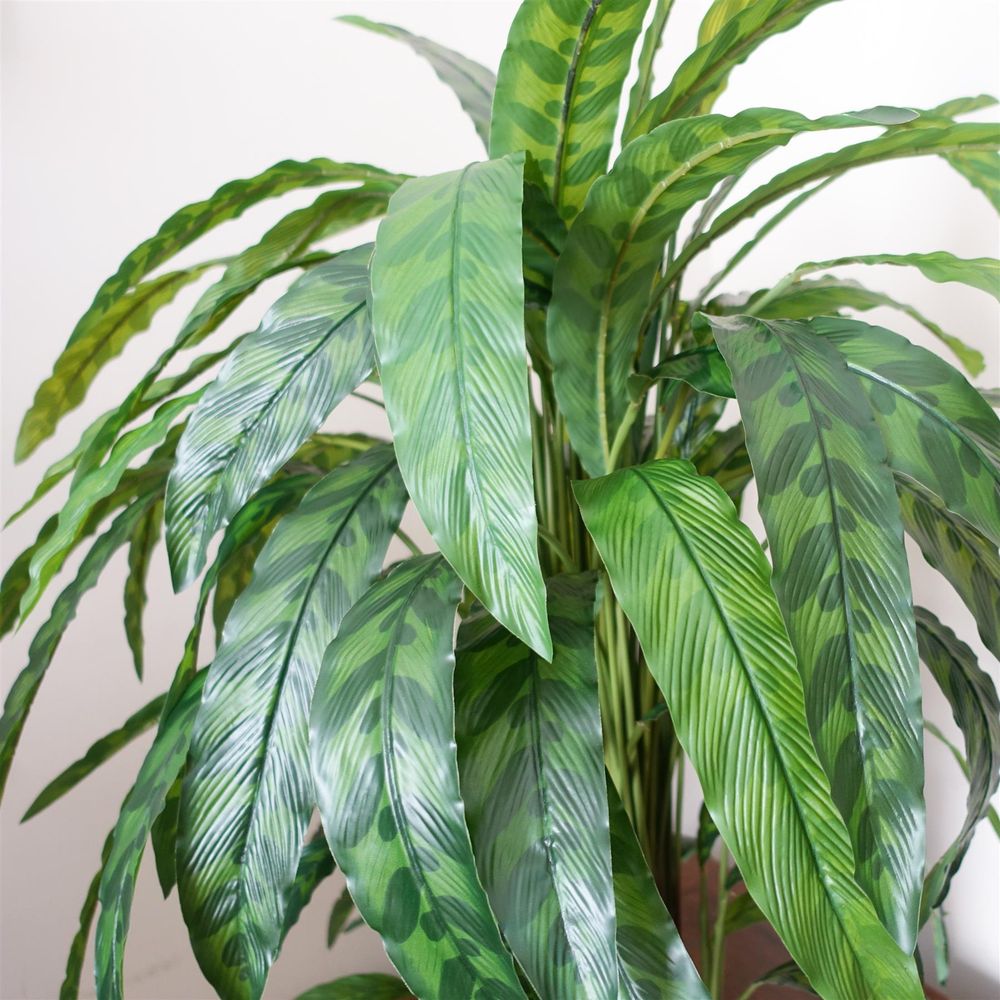 90cm Variegated Artificial Calathea Plant for Striking Indoor Aesthetics