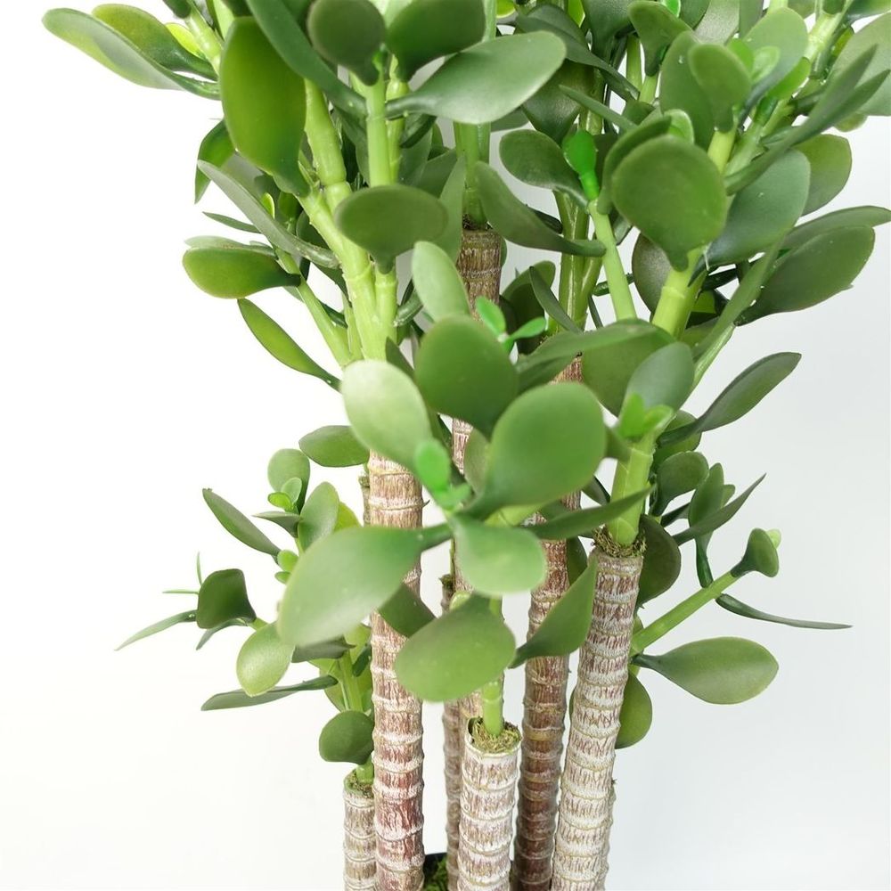 75cm Deluxe Artificial Green Jade Plant