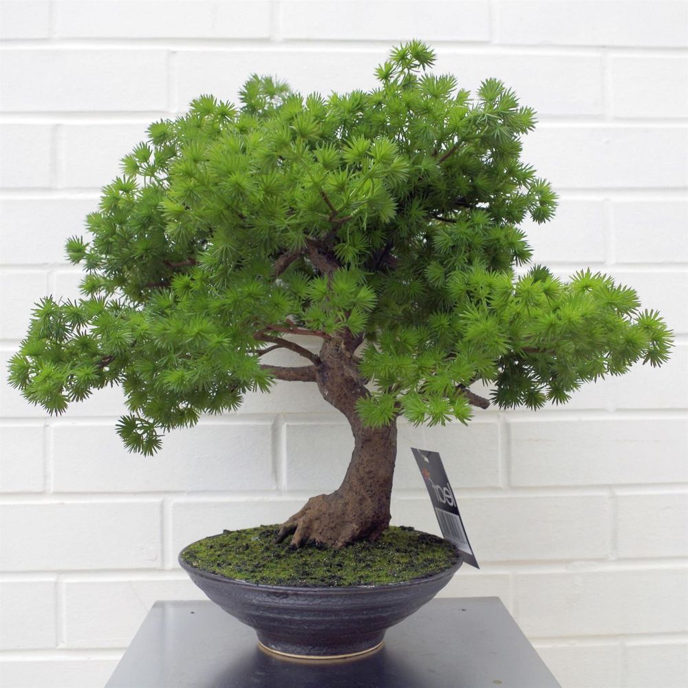 50cm Artificial Pine Bonsai Tree, Luxurious and Stylish