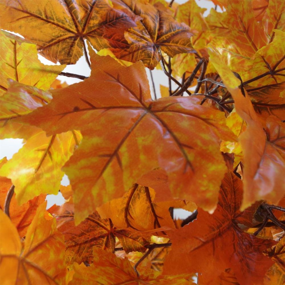 125cm Extra Large Orange Maple Acer Tree - Stunning Autumn Decor