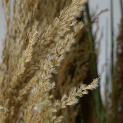 180cm Lifelike Pampas Grass Plant for a Chic and Natural Look