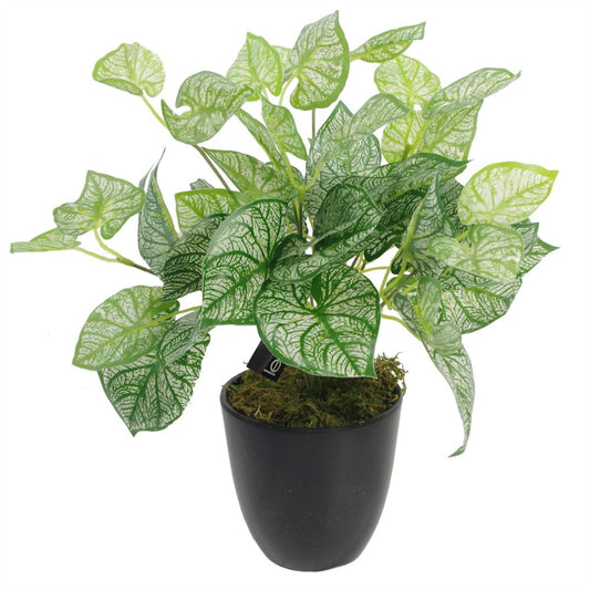 40cm Artificial Caladium Plant in Pot, Vibrant and Lifelike Décor