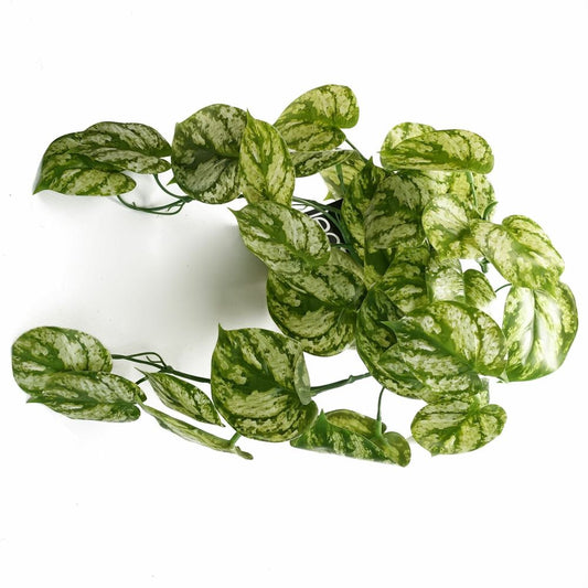 35cm Realistic Light Green Trailing Plant - Artificial Natural Look