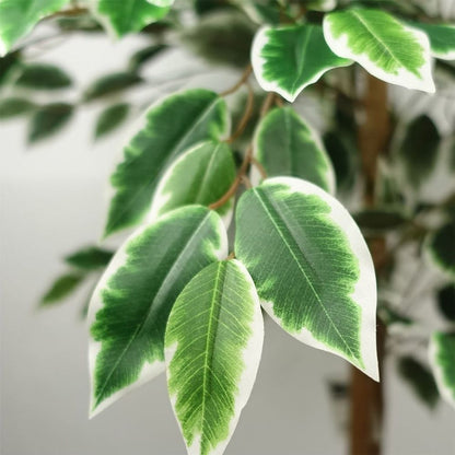 150cm Lifelike Silk Ficus Tree – Elegant Faux Plant for Contemporary Interiors