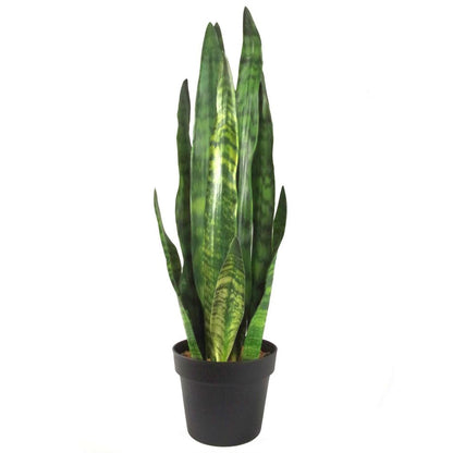 70cm Artificial Sansevieria Zeylanica Plant for Striking Indoor Decor