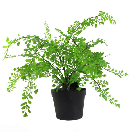 35cm Potted Southern Maidenhair Fern - Artificial Fern Plant Design