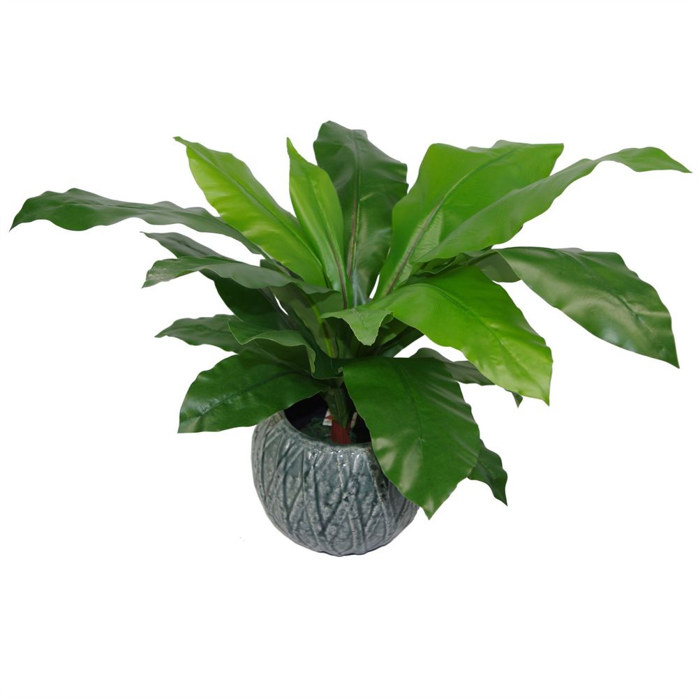 60cm Large Bushy Artificial Bird's Nest Fern Plant