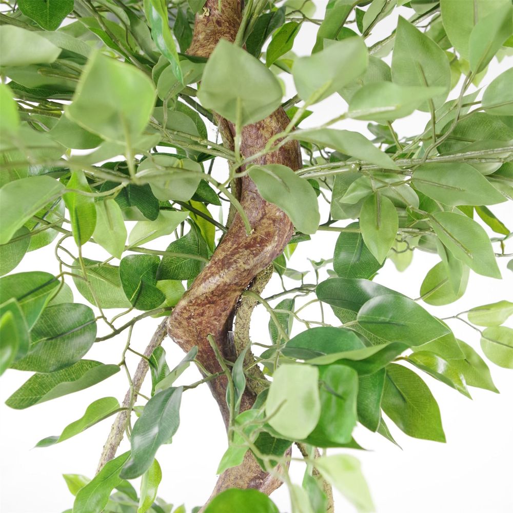 150cm Twisted Trunk Artificial Japanese Ficus Tree - Stylish Faux Plant for Any Décor