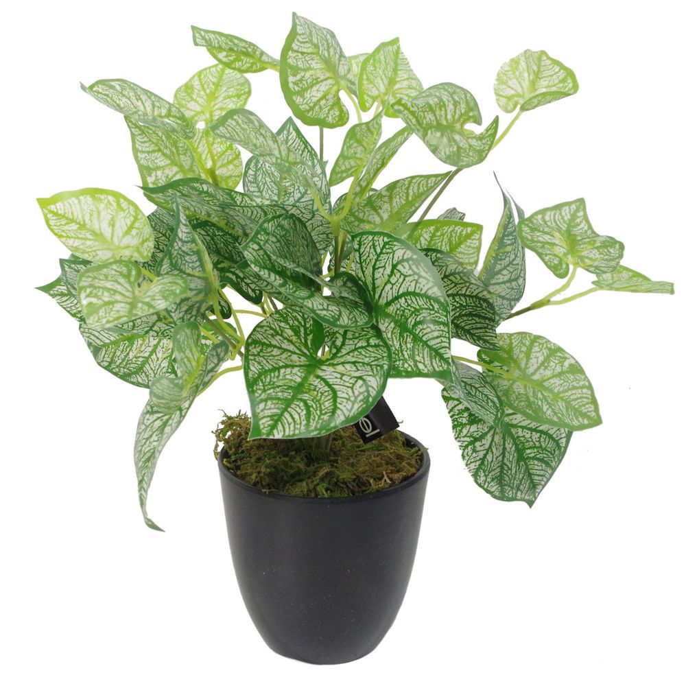 40cm Caladium Plant with Pot - Artificial