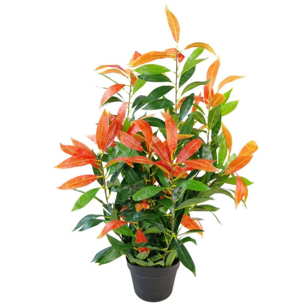 80cm Realistic Red Robin Ficus Tree - Lush Leaves for Vibrant Decor