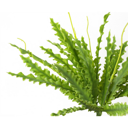 40cm Artificial Crocodile Fern Plant for Lush Indoor Greenery