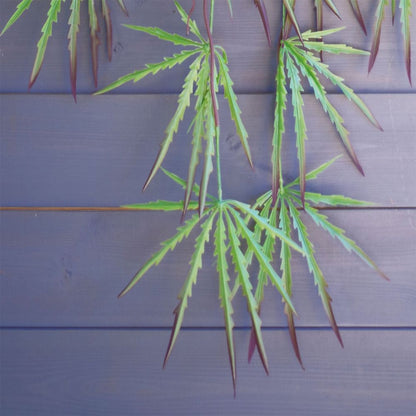 100cm Artificial Hanging Acer Spider Plant for Lush Indoor Greenery and Stylish Home Decor