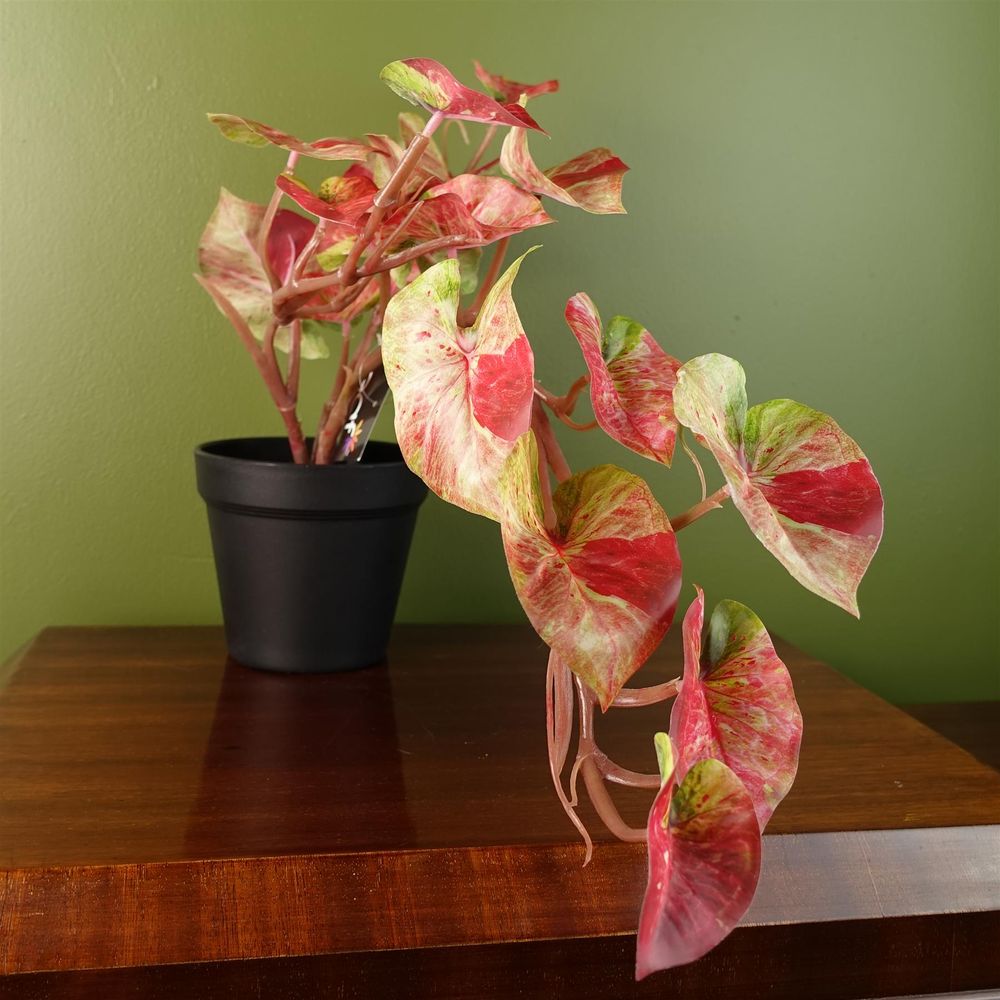 35cm Realistic Artificial Pink Splash Caladium, Perfect for Trailing Hanging Displays